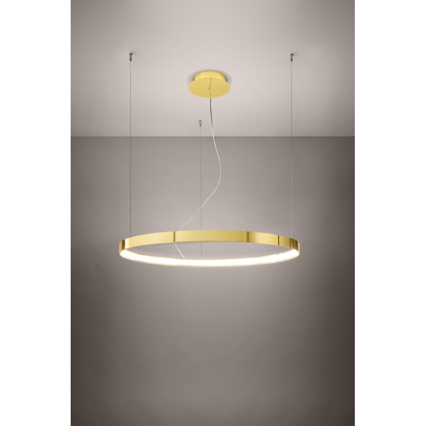 Thoro TH.246 - LED Luster na lanku RIO LED/50W/230V CRI 90 3000K pr. 78 cm zlatá