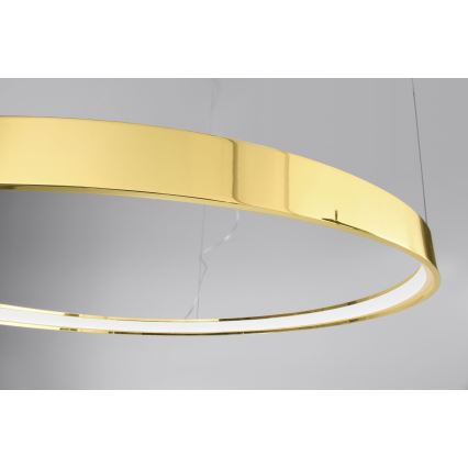 Thoro TH.246 - LED Luster na lanku RIO LED/50W/230V CRI 90 3000K pr. 78 cm zlatá