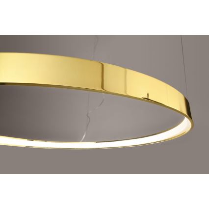 Thoro TH.246 - LED Luster na lanku RIO LED/50W/230V CRI 90 3000K pr. 78 cm zlatá
