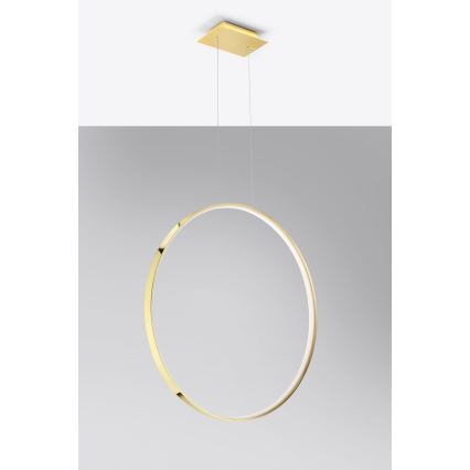 Thoro TH.248 - LED Luster na lanku RIO LED/50W/230V CRI 90 3000K pr. 78 cm zlatá