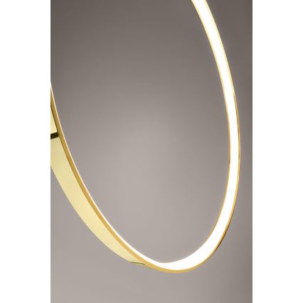 Thoro TH.248 - LED Luster na lanku RIO LED/50W/230V CRI 90 3000K pr. 78 cm zlatá