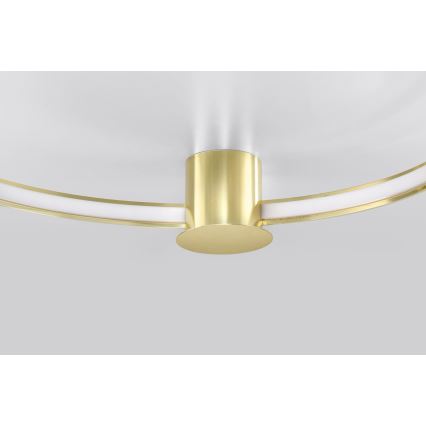 Thoro TH.252 - LED Stropné svietidlo RIO LED/50W/230V CRI 90 3000K pr. 78 cm zlatá