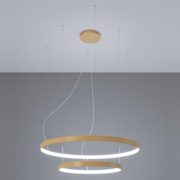 Thoro TH.268 - LED Luster na lanku RIO LED/80W/230V CRI 95 4000K zlatá