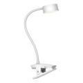 Top Light - LED Dimmable Touch Stolní Lampa s Klipem BELLA LED/4,8W/5V 3000-6500K Bílá