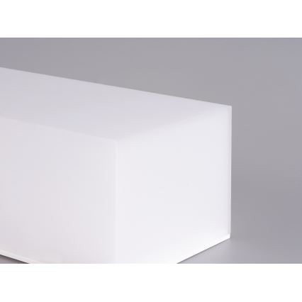 Top Light - LED Kúpeľňové nástenné svietidlo BOXTER LED/12W/230V IP65 4000K