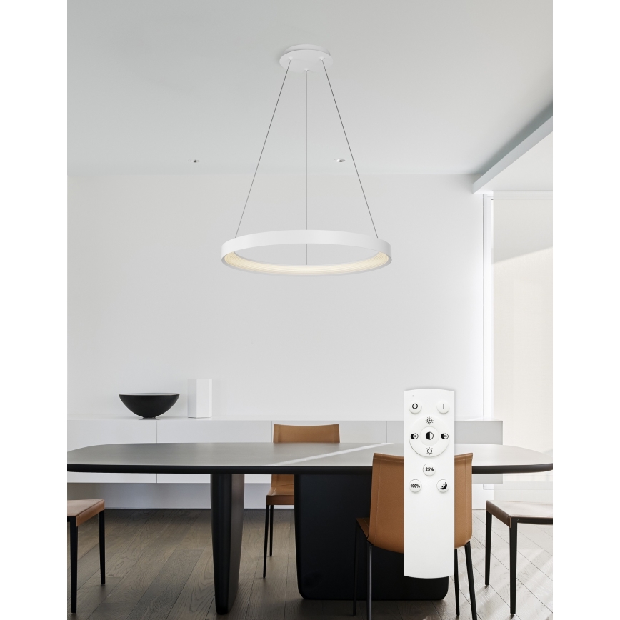 Top Light - LED Stmievateľný luster na lanku ORBIT LED/40W/230V 3000-6500K pr. 50 cm biela + diaľkové ovládanie