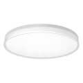 Top Light - LED stlmiteľné kúpeľňové stropné svietidlo NEXUS LED/55W/230V 3000-6500K IP44 pr. 48 cm biela + diaľkové ovládanie