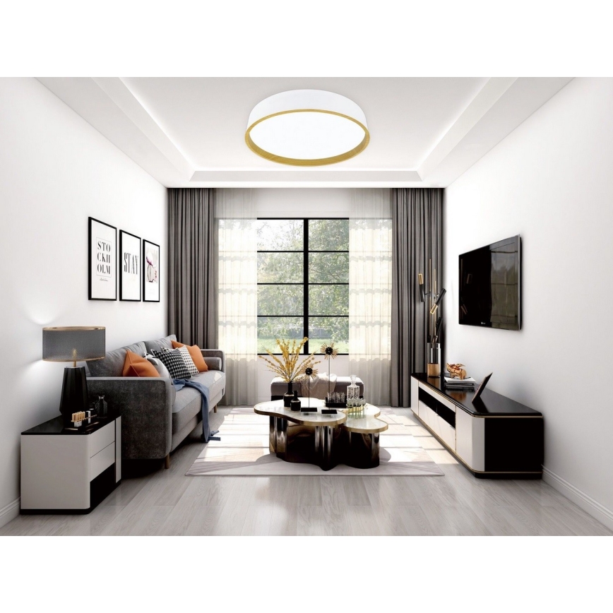 Top Light - LED Stmievateľné stropné svietidlo DEKOR LED/51W/230V pr. 50 cm 3000-6500K + diaľkové ovládanie