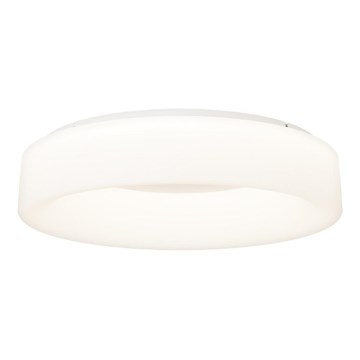 Top Light - LED stmievateľné stropné svietidlo HALO LED/60 W/230 V 3000–6500 K priemer 60 cm biela + diaľkové ovládanie