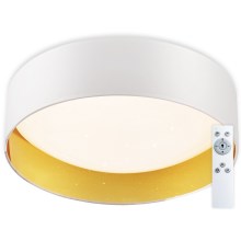 Top Light - LED Stmievateľné stropné svietidlo LED/24W/230V +diaľkové ovládanie, biela