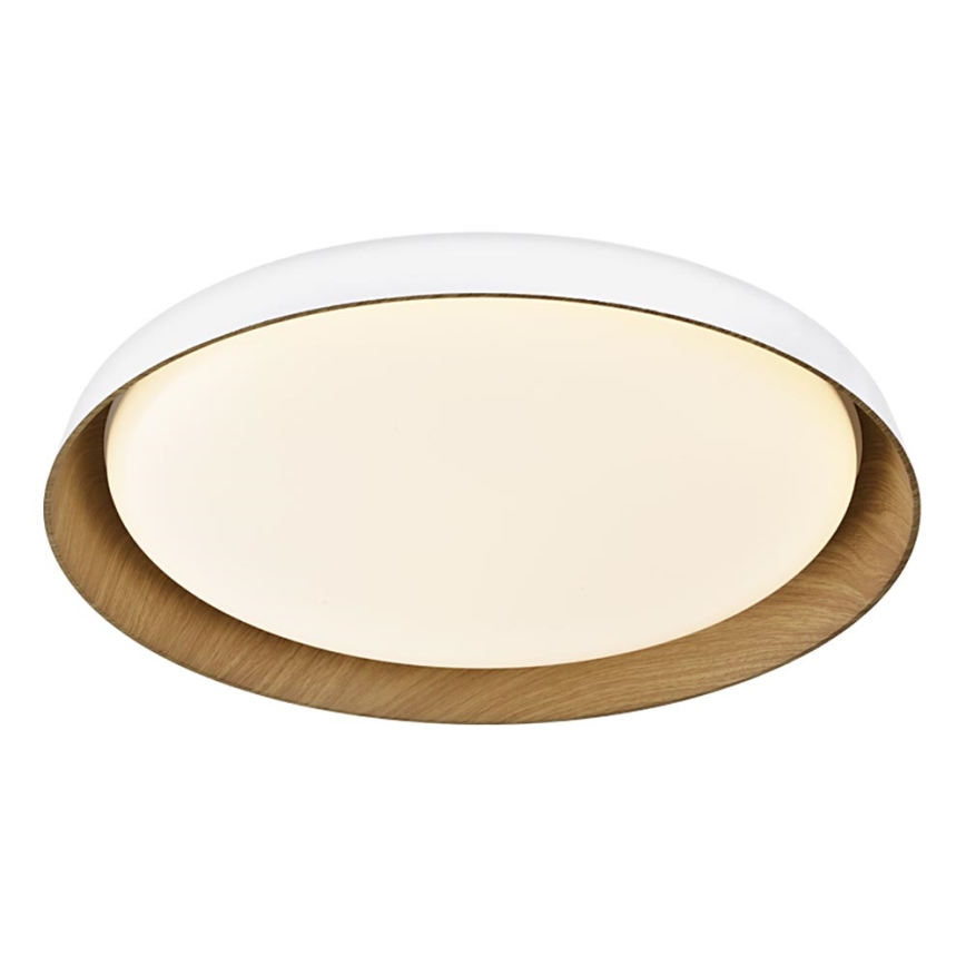 Top Light - LED Stmievateľné stropné svietidlo SATELLITE LED/48W/230V 3000-6500K pr. 53 cm biela/hnedá + diaľkové ovládanie