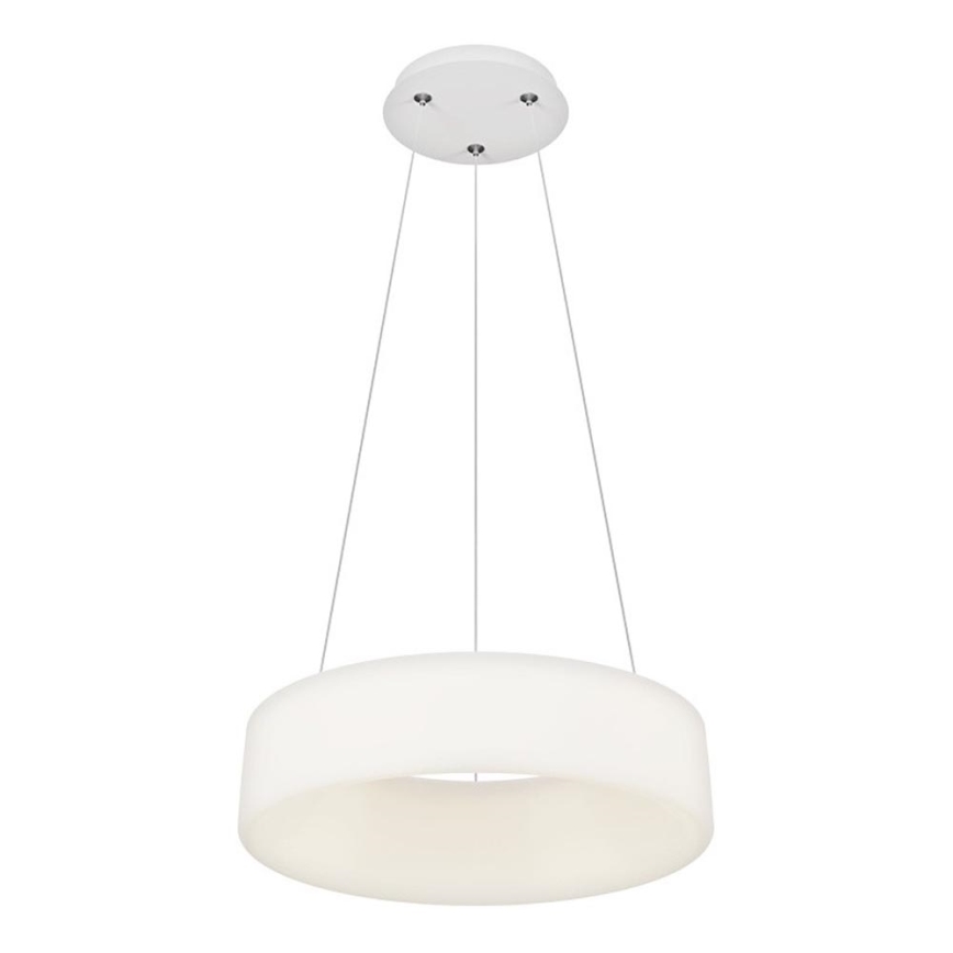 Top Light - LED stmievateľný luster na lane HALO LED/40W/230V 3000-6500K pr. 44 cm + diaľkové ovládanie