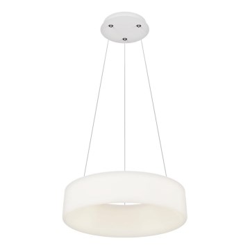 Top Light - LED Stmievateľný luster na lankách HALO LED/40W/230V 3000-6500K pr. 44 cm + diaľkové ovládanie