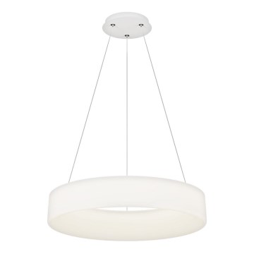 Top Light - LED Stmievateľný luster na lankách HALO LED/60W/230V 3000-6500K pr. 60 cm + diaľkové ovládanie