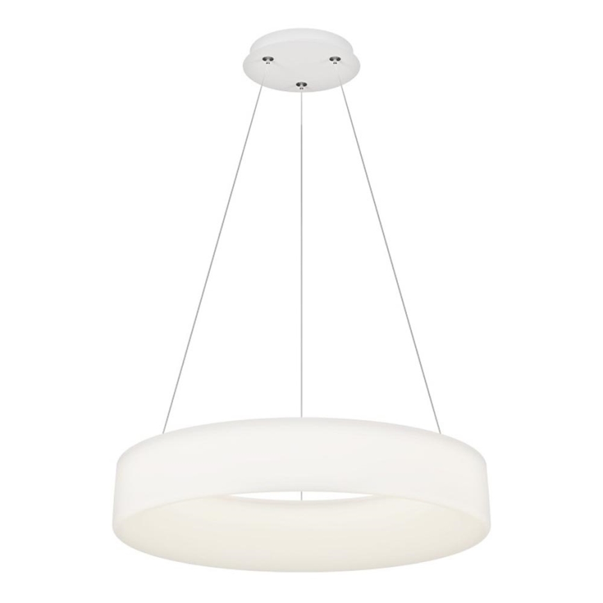 Top Light - LED Stmievateľný luster na lankách HALO LED/60W/230V 3000-6500K pr. 60 cm + diaľkové ovládanie