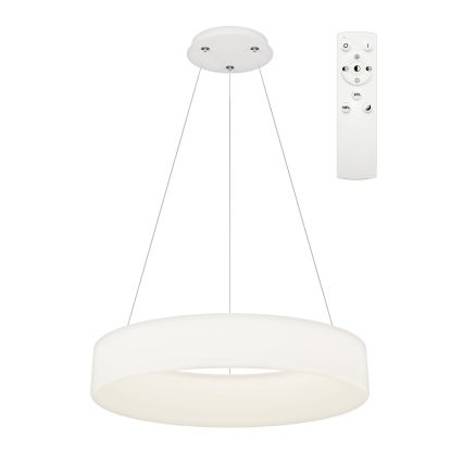 Top Light - LED Stmievateľný luster na lankách HALO LED/60W/230V 3000-6500K pr. 60 cm + diaľkové ovládanie