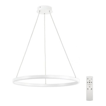 Top Light - LED Stmievateľný luster na lanku LED/30W/230V 3000-6500K biela + diaľkové ovládanie