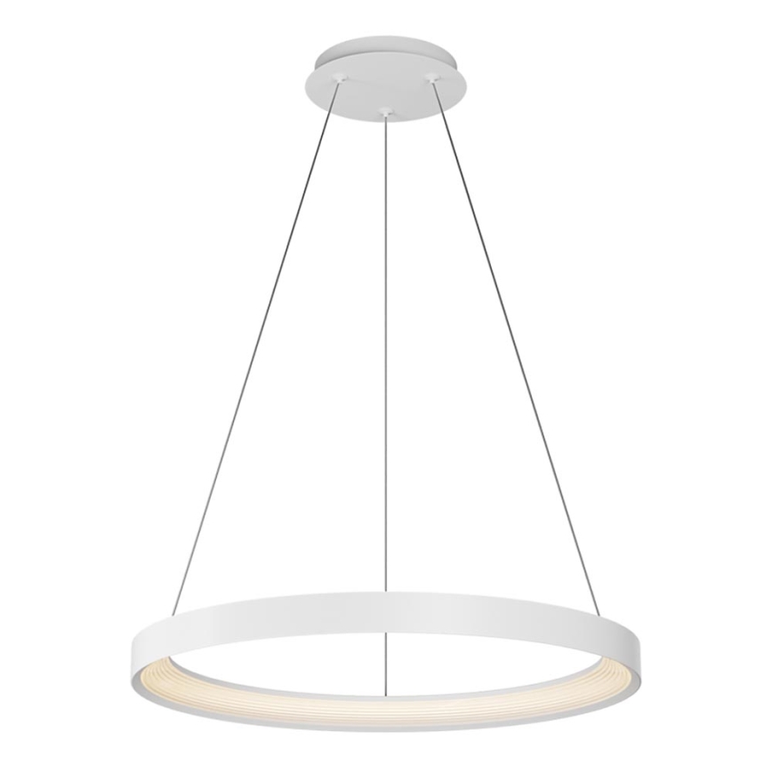 Top Light - LED Stmievateľný luster na lanku ORBIT LED/40W/230V 3000-6500K pr. 50 cm biela + diaľkové ovládanie