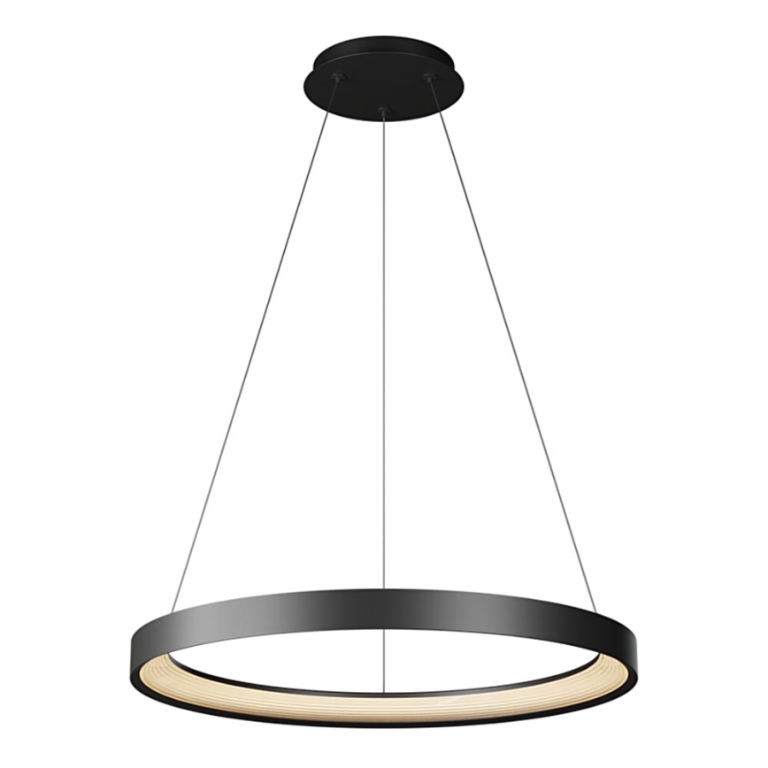 Top Light - LED Stmievateľný luster na lanku ORBIT LED/40W/230V 3000-6500K pr. 50 cm čierna + diaľkové ovládanie