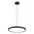 Top Light - LED Stmievateľný luster na lanku REVIT LED/36W/230V 3000-6500K pr. 40 cm čierna + diaľkové ovládanie