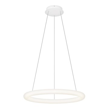Top Light - LED stmievateľný závesný luster na lankách RINGO LED/40W/230V 3000-6500K biela + diaľkové ovládanie
