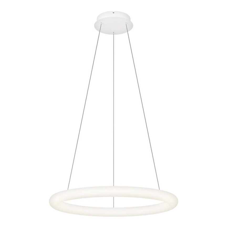 Top Light - LED stmievateľný závesný luster na lankách RINGO LED/40W/230V 3000-6500K biela + diaľkové ovládanie