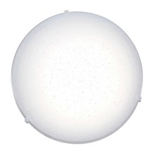 Top Light - LED Stropné svietidlo STAR LED/12W/230V