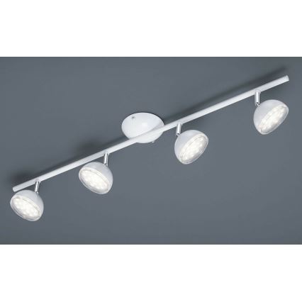 Trio - LED Bodové svietidlo BOLOU 4xLED/3,8W/230V