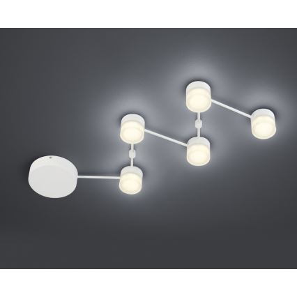 Trio - LED Stmievateľné stropné svietidlo NASHVILLE 5xLED/3W/230V