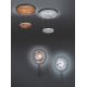TRIO - LED Stmievateľný luster na lanku ZENIT 1xLED/19W/230V
