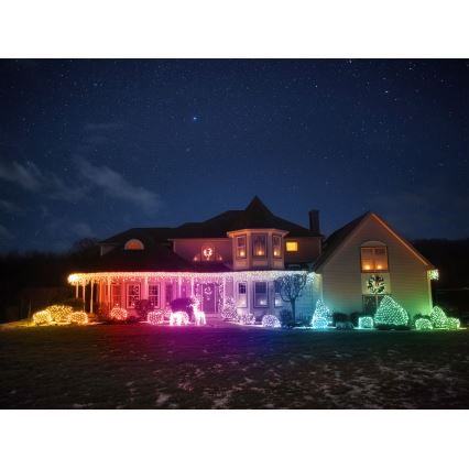 Twinkly - LED RGBW Stmievateľný vonkajší vianočný sob REINGEERS 160xLED IP44 Wi-Fi