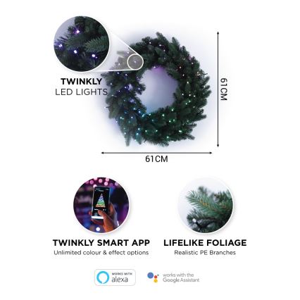 Twinkly - LED RGB Stmievateľný vánoční věnec PRE-LIT WREATH 50xLED pr. 61cm Wi-Fi