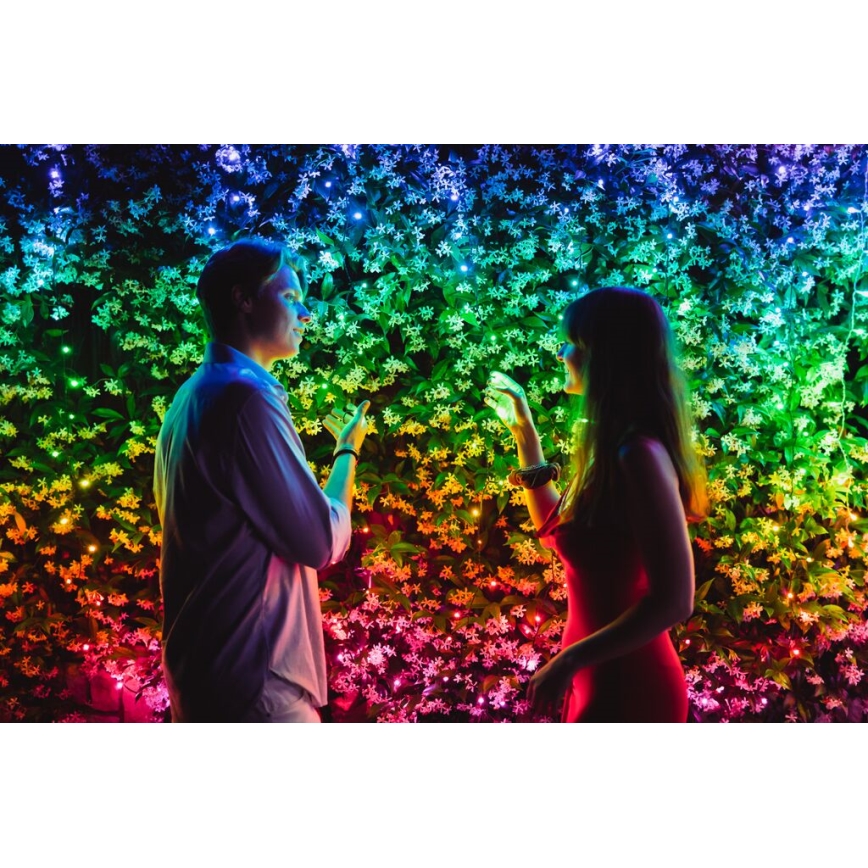 Twinkly - LED RGBW Stmievateľná vonkajšia vianočná reťaz STRINGS 250xLED 23,5m IP44 Wi-Fi