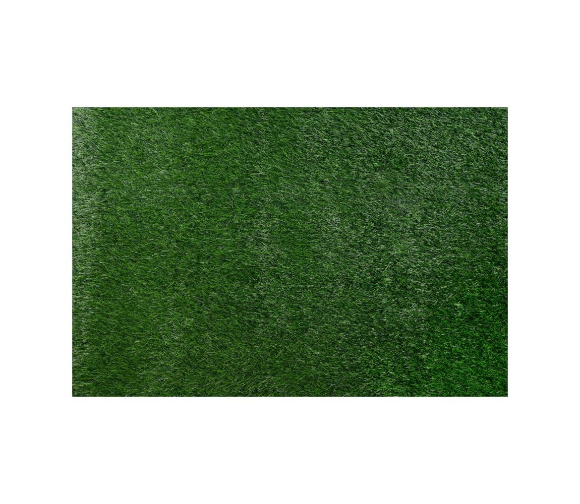 Multidecor Umelý trávnik ALLGREEN 100x200 cm, výška vlasu 30 mm, zelený 420292