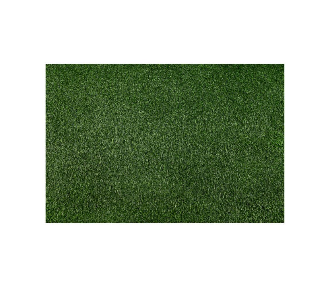 Multidecor Umelý trávnik BELLIN 100x200 cm 18 mm zelený 420284