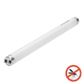 UV žiarivková trubica pre lapač hmyzu G13/10W/230V 36,5 cm - BRILAGI