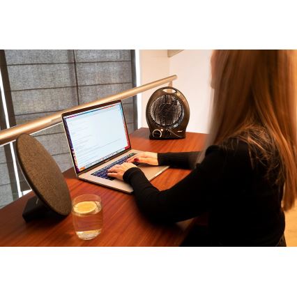 Ventilátor s výhrevným telesom 1000/2000W/230V čierna