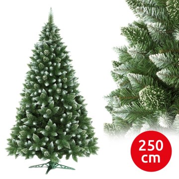 Vianočný stromček 250 cm borovica