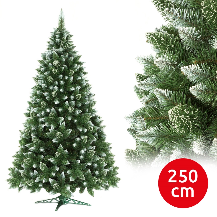 Vianočný stromček 250 cm borovica