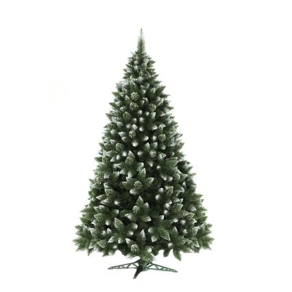 Vianočný stromček 250 cm borovica