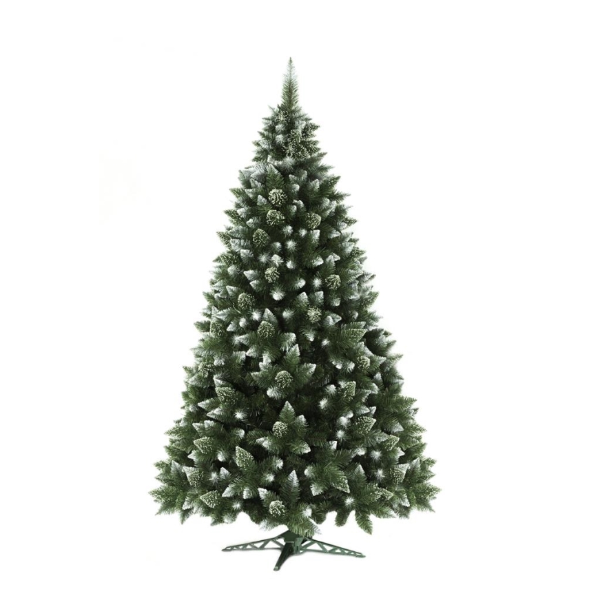 Vianočný stromček 250 cm borovica