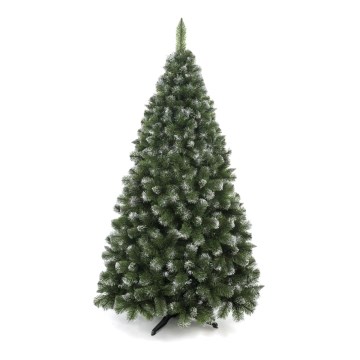 Vianočný stromček 250 cm, borovica