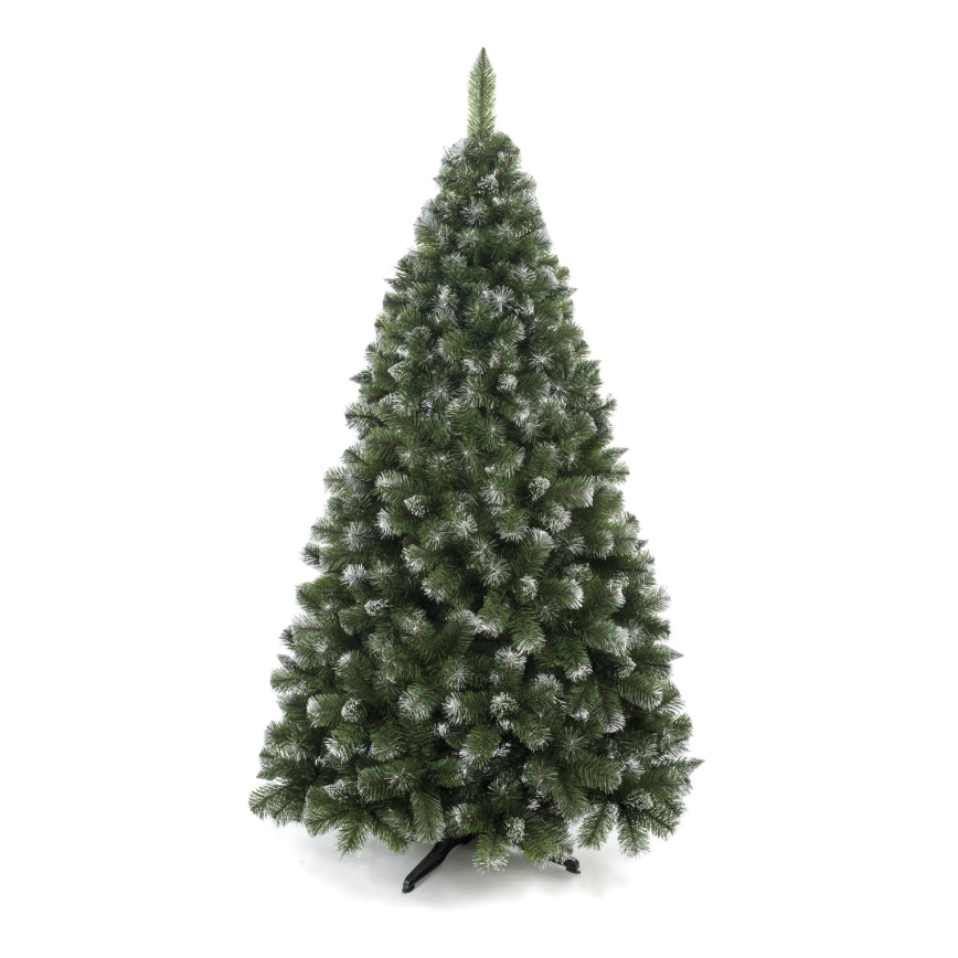Vianočný stromček 250 cm, borovica