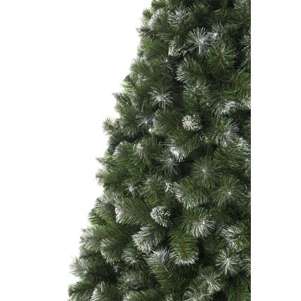 Vianočný stromček 250 cm, borovica