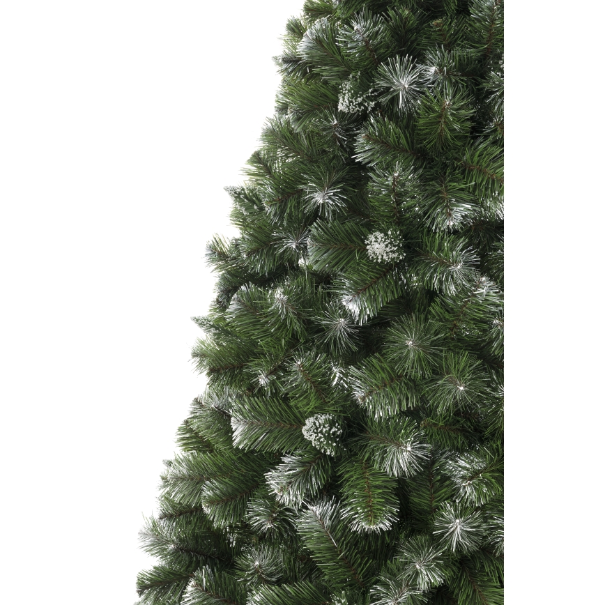Vianočný stromček 250 cm, borovica