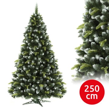 Vianočný stromček 250 cm borovica