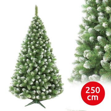 Vianočný stromček 250 cm borovica