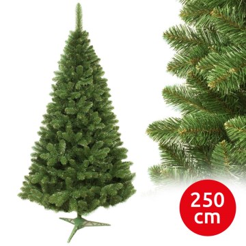 Vianočný stromček jedľa, výška 250 cm