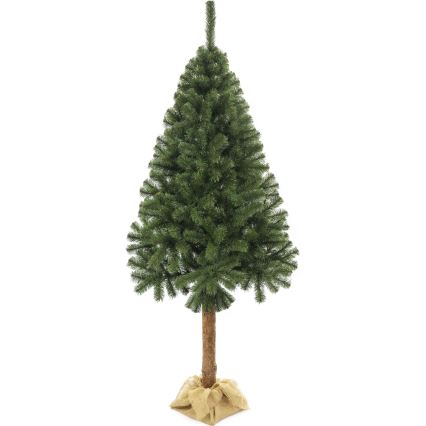 Vianočný stromček na kmeni 160 cm jedľa