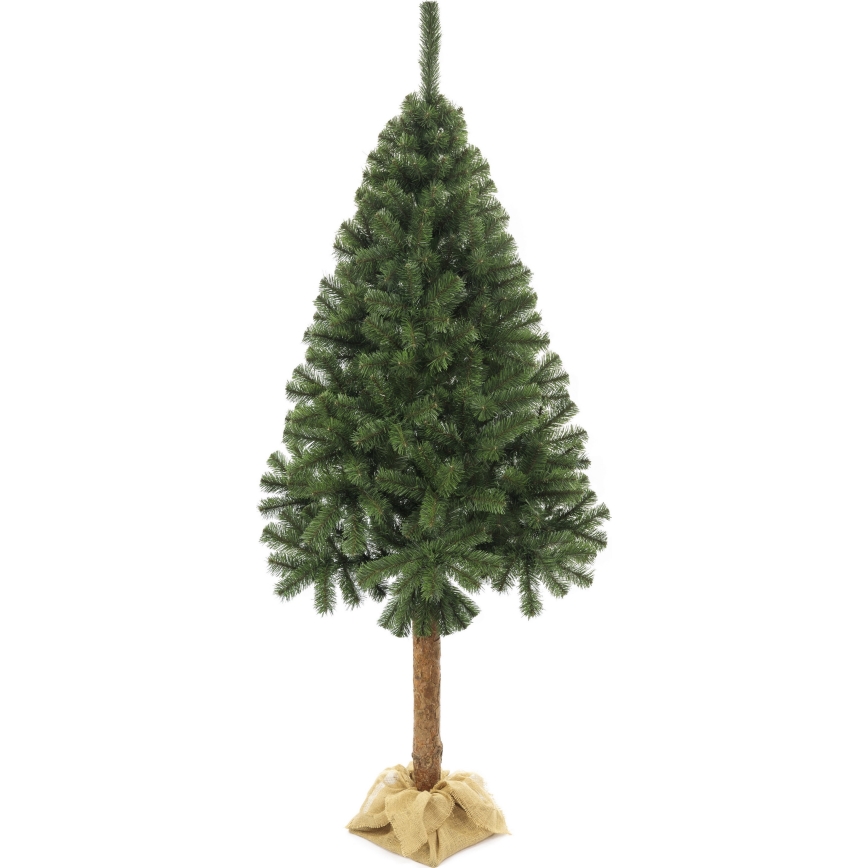 Vianočný stromček na kmeni 160 cm jedľa